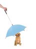 Pour-Protection Umbrella With Reflective Lining And Leash Holder