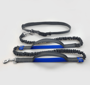 Amazon direct pet supplies multi-function running reflective pull dog leash double elastic dog leash traction (Color: Royal blue)