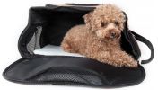 Airline Approved Sky-Max Modern Collapsible Pet Carrier